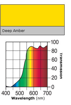 104 Deep Amber Lee